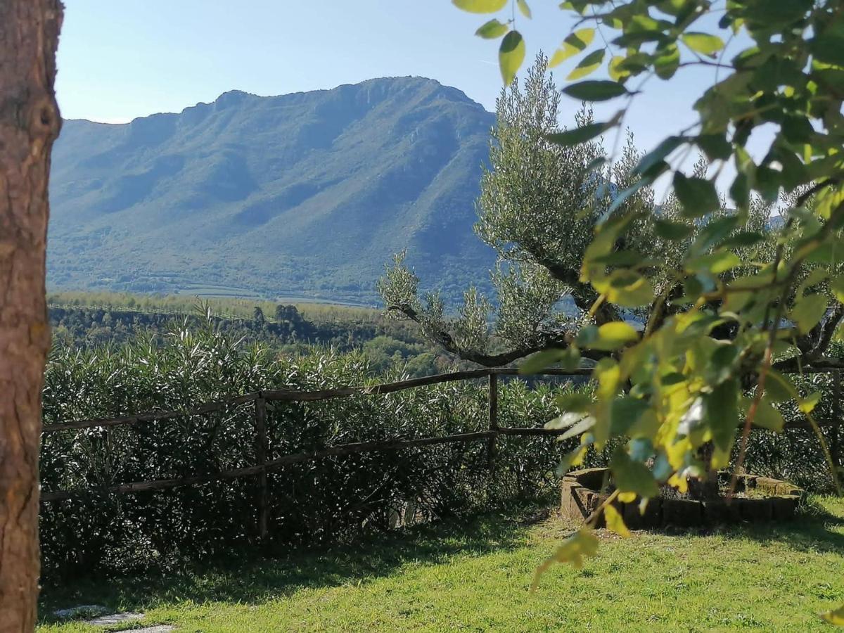 Salisu Country House Mignano Monte Lungo Eksteriør bilde
